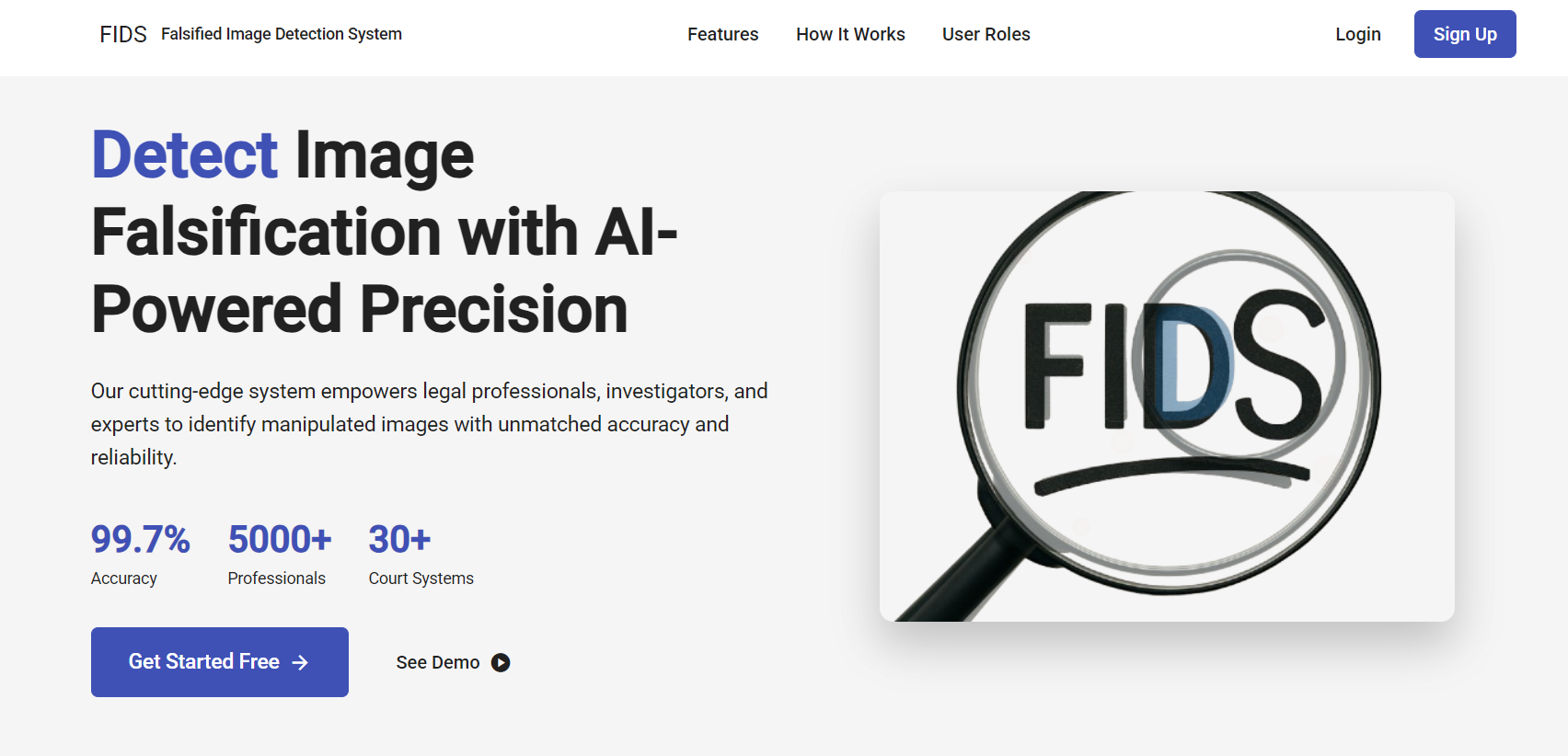 Falsified Image Detection